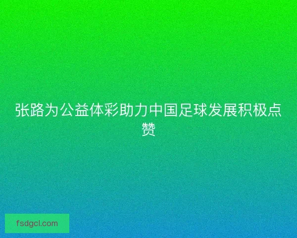 张路为公益体彩助力中国足球发展积极点赞